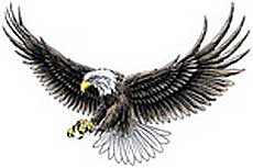 soaring eagle tattoo